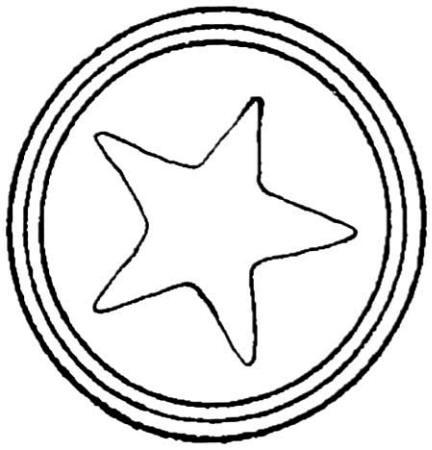 Star Rug