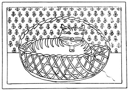 Mugsy Cat